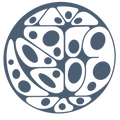 Custom Design